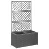 Trellis Raised Bed with 2 Pots 22.8"x11.8"x42.1" Poly Rattan Black - Black