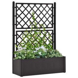 Garden Raised Bed with Trellis and Self Watering System Anthracite - Anthracite