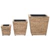 Garden Raised Beds 3 pcs Water Hyacinth - Brown