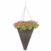 Hanging Flower Baskets 2 pcs Poly Rattan Gray - Grey