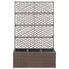 Trellis Raised Bed with 3 Pots 32.7"x11.8"x51.2" Poly Rattan Brown - Brown