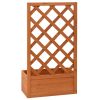 Garden Trellis Planter Orange 19.7"x9.8"x35.4" Solid Firwood - Orange