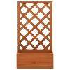 Garden Trellis Planter Orange 19.7"x9.8"x35.4" Solid Firwood - Orange