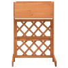 Garden Trellis Planter Orange 17.7"x11.8"x29.1" Solid Firwood - Orange