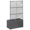 Trellis Raised Bed with 2 Pots 22.8"x11.8"x42.1" Poly Rattan Black - Black