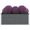 Garden Raised Bed WPC 59.1"x39.4"x21.3" Gray - Grey