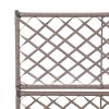 Trellis Raised Bed with 2 Pots 22.8"x11.8"x42.1" Poly Rattan Brown - Brown