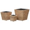 Garden Raised Beds 3 pcs Water Hyacinth - Brown