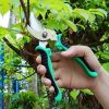 1pc Garden Pruning Shears; Professional Gardening Scissors Manual Pruner For Plants; Gardening; Trimming; Garden Tools - Green Black