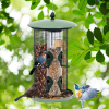 Outdoor Metal Seed Guard Deterrent Squirrel-Proof Caged Tube Wild Bird Feeder  - green A - bird